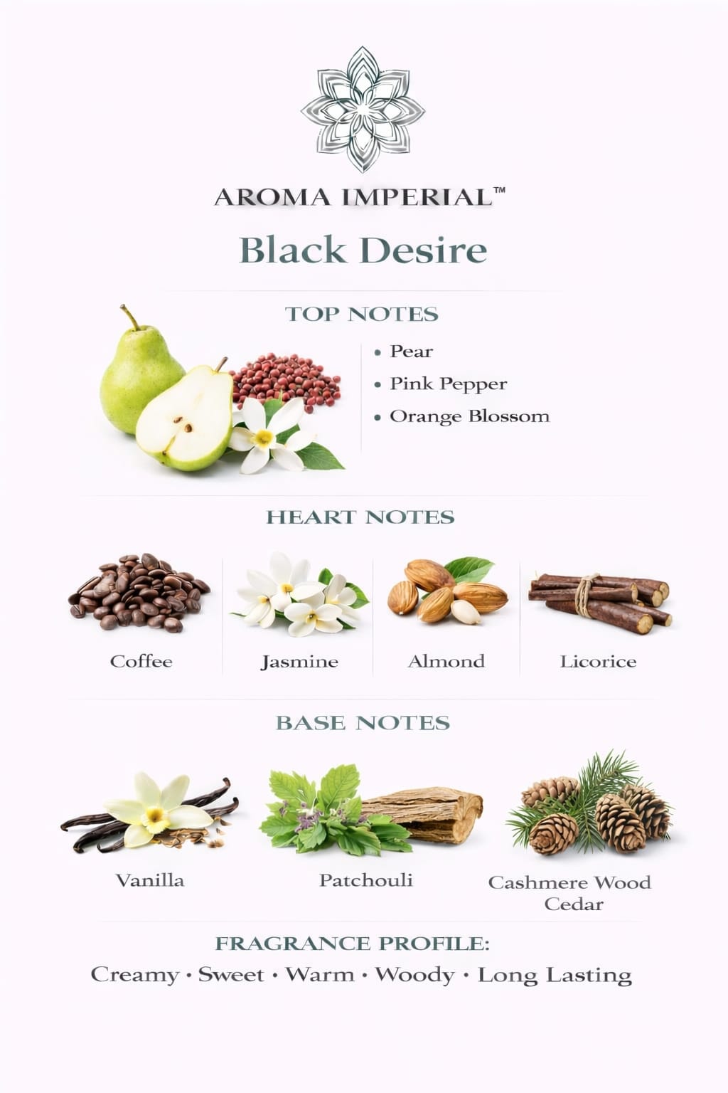 Black Desire 100ml
